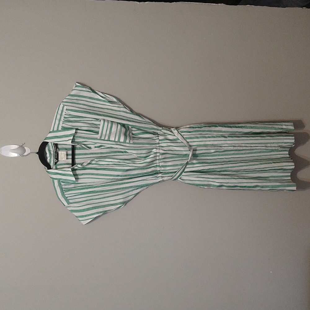 Vintage Strippe green and White dress